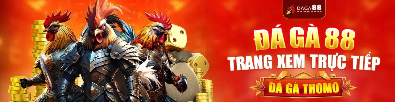 Đá gà trực tuyến xo88 chính thức