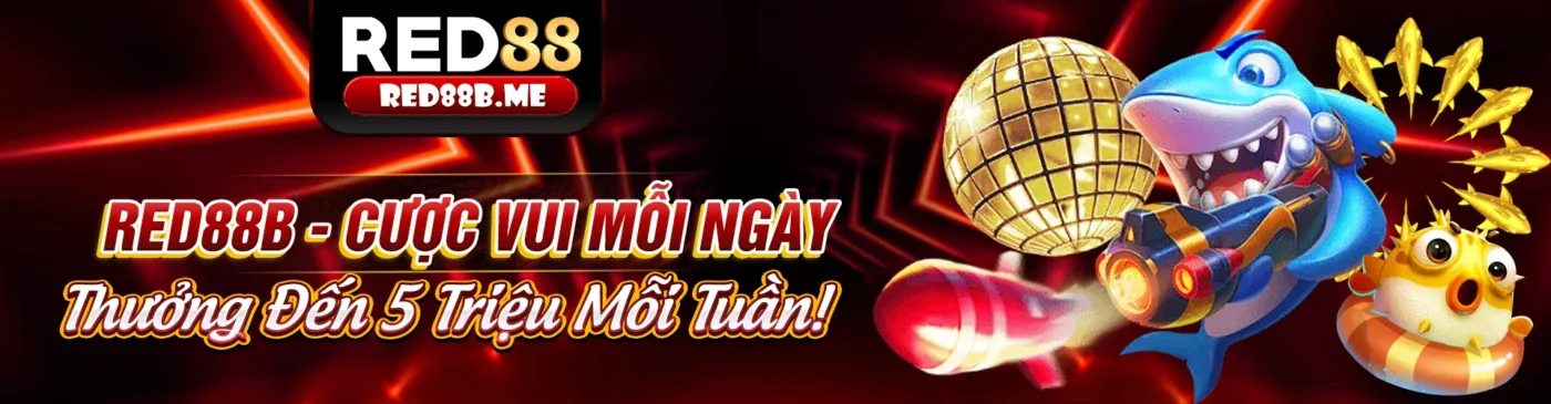 Tổng hợp khuyến mãi xo88 chính thức cho người chơi mới